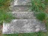 image of grave number 460267